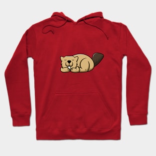 Cute Otter Sleeping Hoodie